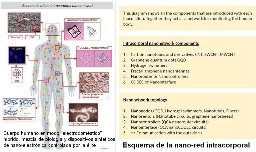 01 nano-redes intracorporales 1 C (esquema nano-red intracorporal)
