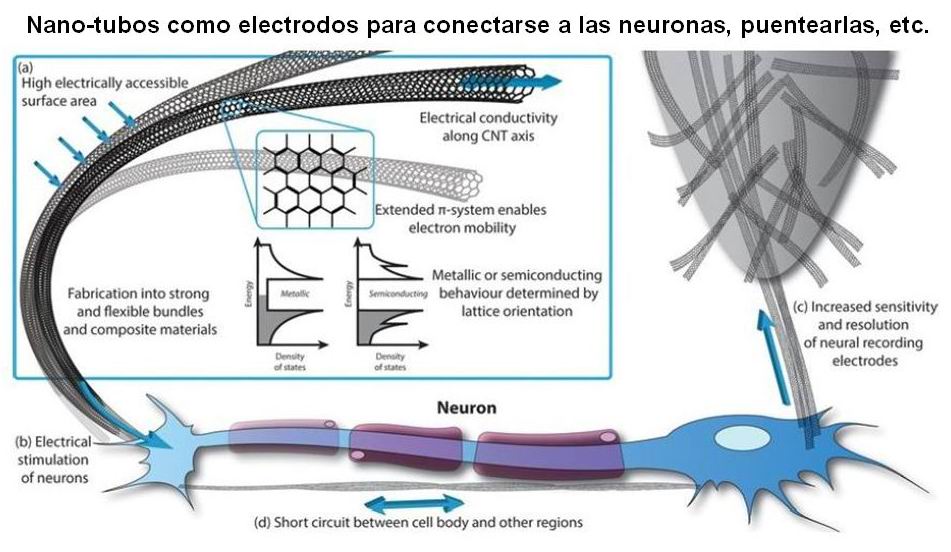 03 nano-redes intracorporales 1 C (nano-tubos como electrodos para neuronas)