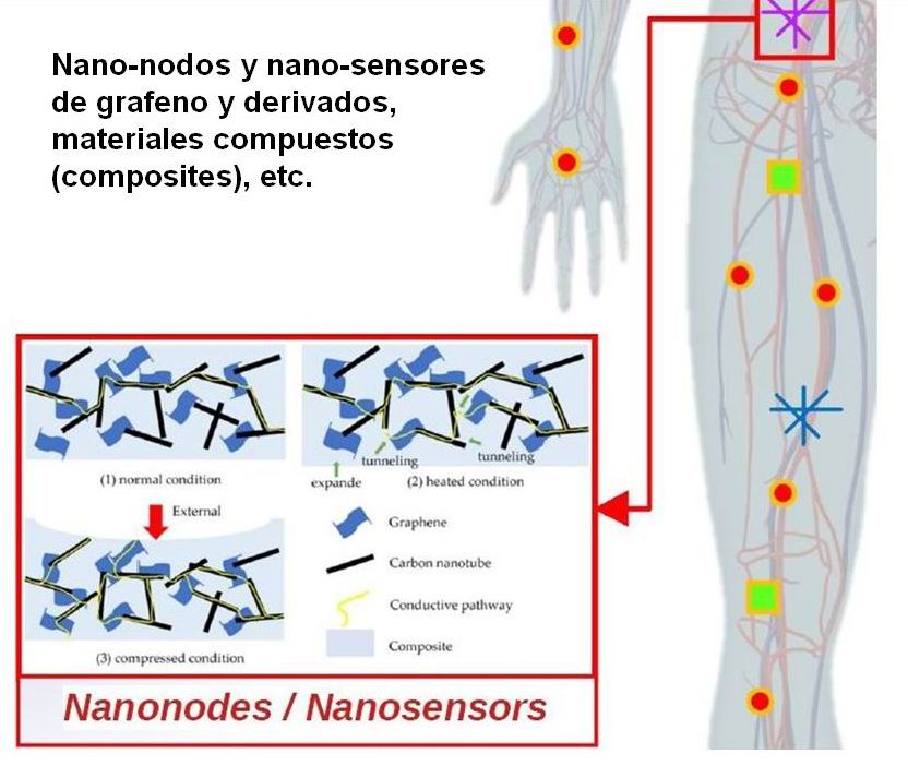 04 nano-redes intracorporales 1 C (nano-nodos y nano-sensores)