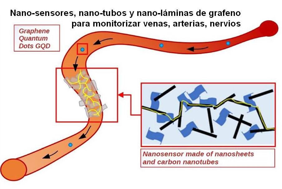 05 nano-redes intracorporales 1 C (nano-sensores en vasos sanguíneos)