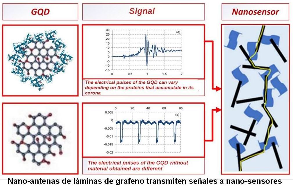 07 nano-redes intracorporales 1 C (transmisión de señal de nano-antena a nano-sensor)