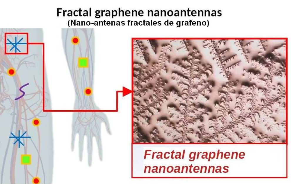08 nano-redes intracorporales 1 C (nano-antes de grafeno fractales)