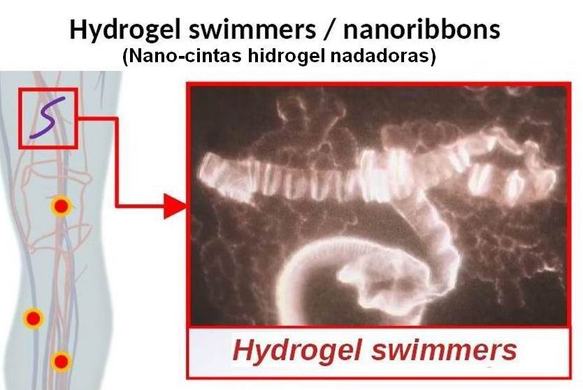 09 nano-redes intracorporales 1 C (nano-cintas nadadores de hidrogel)