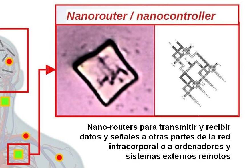10 nano-redes intracorporales 1 C (nano-routers)